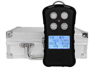 2025 氣體檢測(cè)設(shè)備 “抗干擾 + 長(zhǎng)續(xù)航” 技術(shù)成行業(yè)新寵